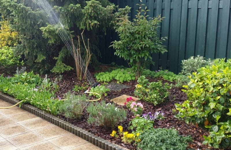 De voordelen van boomschors voor uw tuin ontdekken Boomschors in tuin