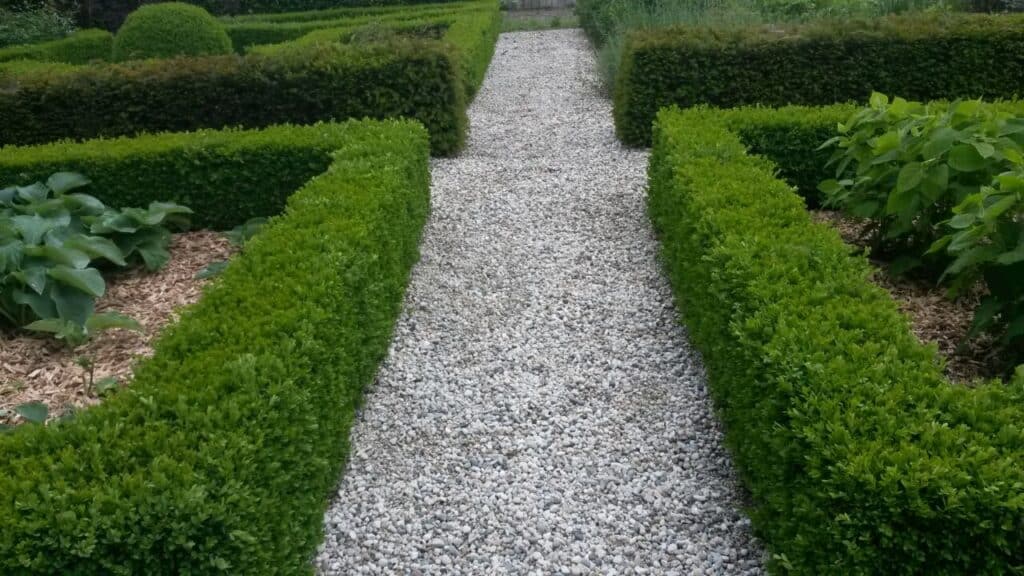 limburgs wit grind in tuin met haag
